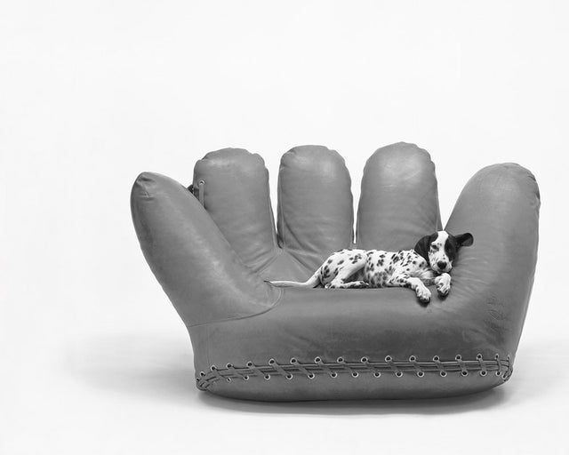 De Pas, D'Urbino, Lomazzi