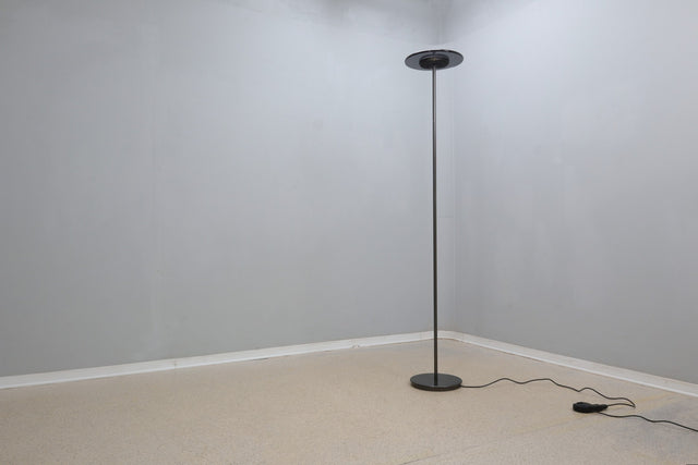 Vintage Aureola floor lamp Cini & Nils 1980s