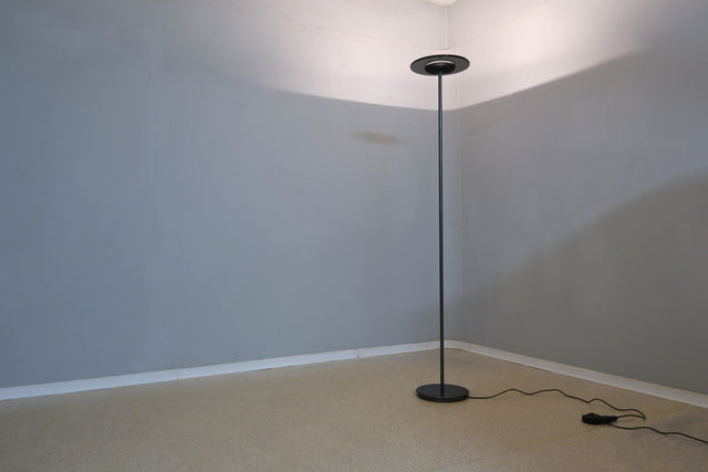 Vintage Aureola floor lamp Cini & Nils 1980s