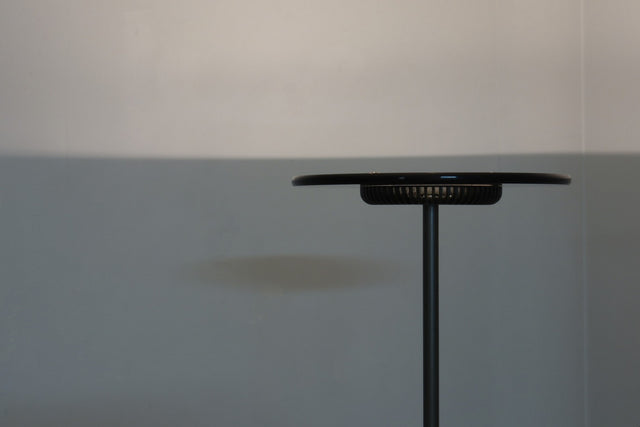 Vintage Aureola floor lamp Cini & Nils 1980s