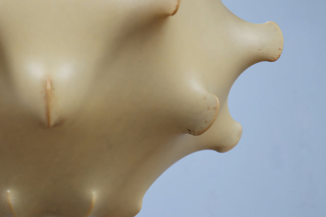 Taraxacum cocoon pendant lamp Achille Castiglioni, FLOS 1960s,