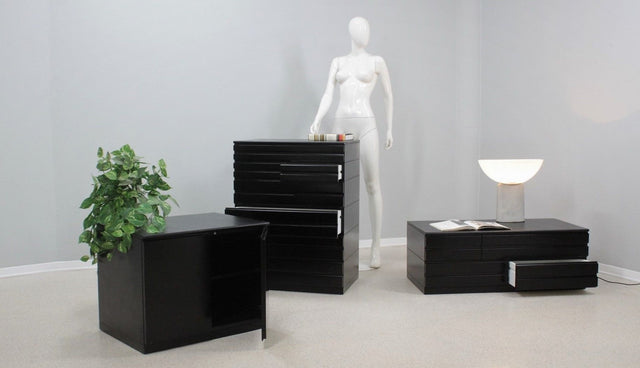Samarcanda chest of drawers Vico Magistretti, POGGI 1970s