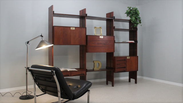 E. Palutari vintage teak bookcase DASSI 1950s