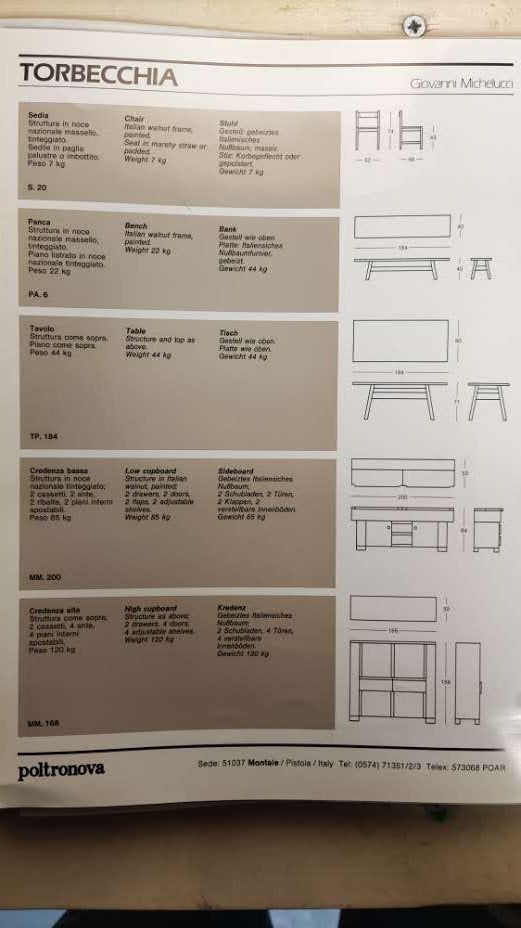 Torbecchia dining set G. Michelucci, POLTRONOVA 1960s