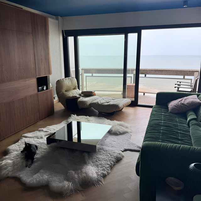 vintage furniture and design shoponline