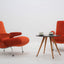 Delfino armchair Arflex 1950s, set of 2 