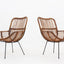 Italian mid centuy rattan shell-shaped chairs 1950s
